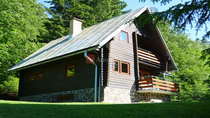 Eine Hütte in Tále bei Brezno, umgeben von Wäldern, ideal für Erholung und Entspannung.