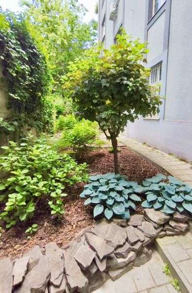 Ein Garten neben einem Gebäude mit grünen Pflanzen und einem Pflasterweg.