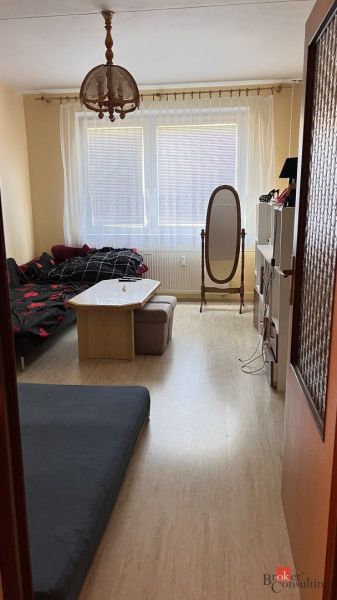 Wohnzimmer in einer 2-Zimmer-Wohnung mit Holzboden und Möbeln.