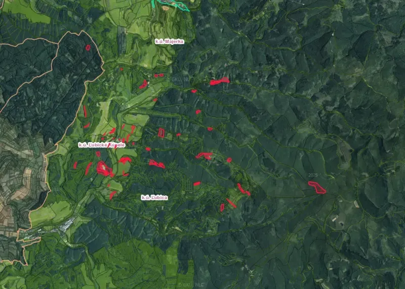 Die Karte zeigt landwirtschaftliche und forstwirtschaftliche Flächen in der Umgebung von Ľubica, die rot markiert sind.