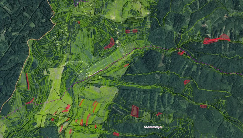 Satellitenkarte von landwirtschaftlichen und forstwirtschaftlichen Flächen im Gebiet Ľubica.