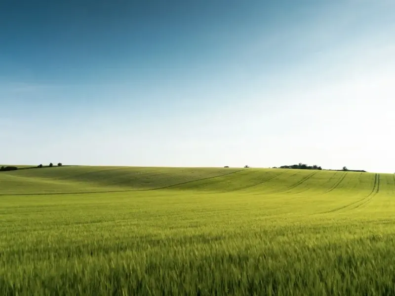 Grüne Felder und sanfte Hügel in den landwirtschaftlichen und forstwirtschaftlichen Gebieten bei Medzany.