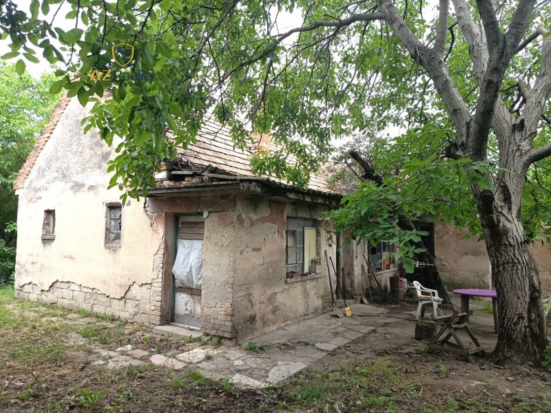 Ein älteres Familienhaus in Nové Zámky, umgeben von Bäumen und einem vernachlässigten Garten.