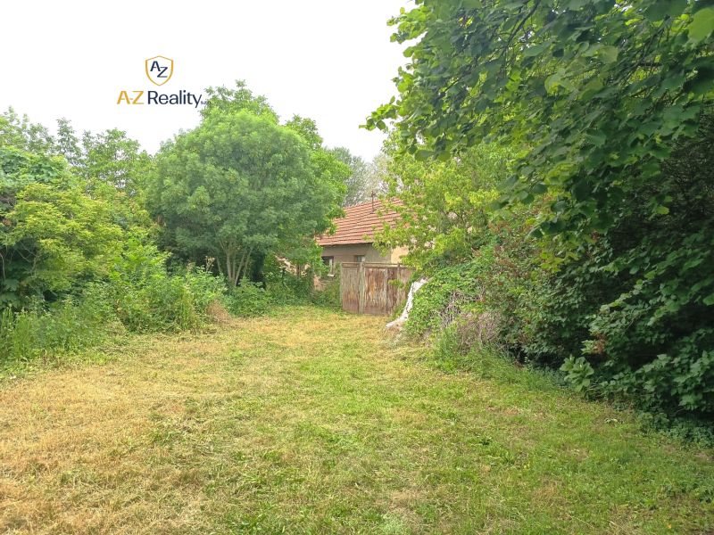 Garten bei einem Einfamilienhaus in Nové Zámky mit Rasen und reicher Vegetation.