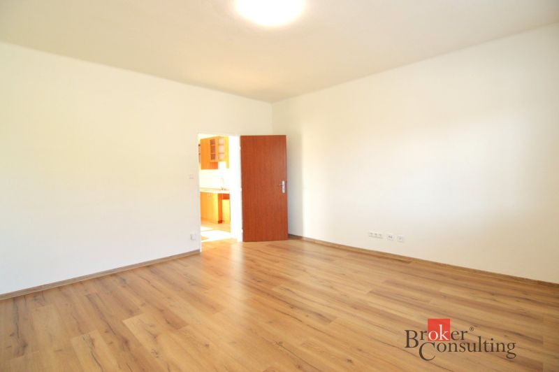 Ein geräumiges Zimmer in einer 2-Zimmer-Wohnung mit einem Boden in Holzoptik und offenen Türen.