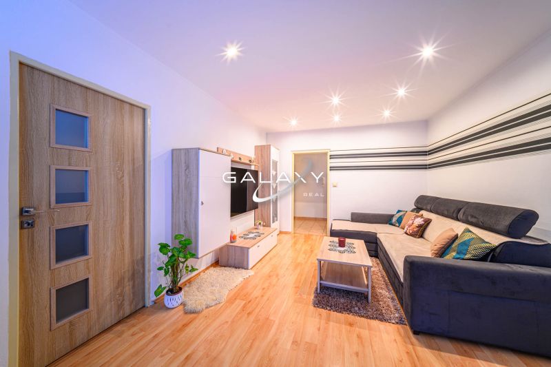 Wohnzimmer in einer 2-Zimmer-Wohnung mit Sofa und Holzboden.