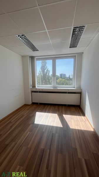 Büros mit großem Fenster und Boden in Holzoptik.