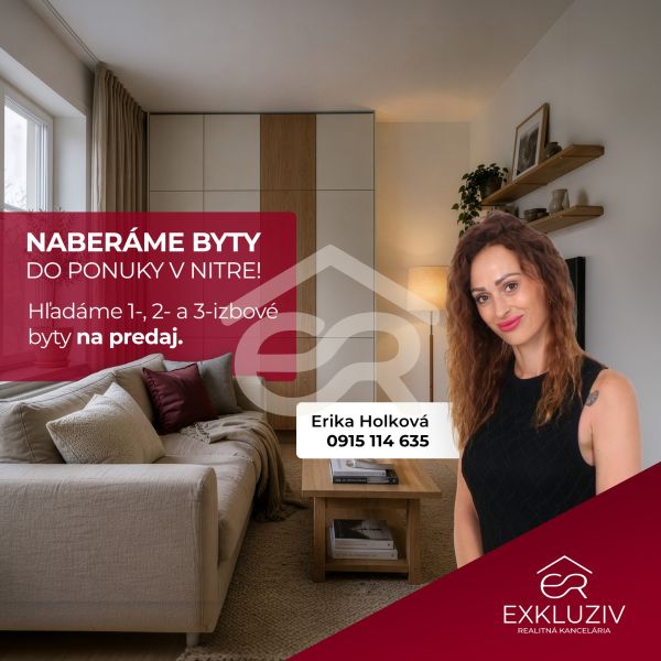 Innenraum einer Einzimmerwohnung mit Sofa, Holzelementen und Dekorationen.