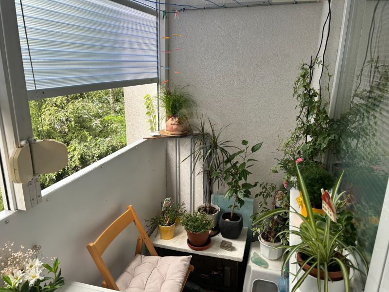 Ein Stillleben eines Balkons einer 3-Zimmer-Wohnung mit Pflanzen und einem Holzstuhl.