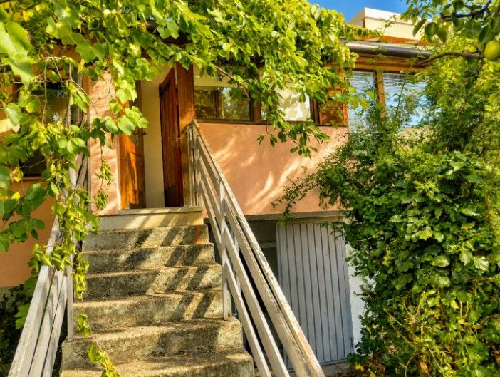 Ein Einfamilienhaus in Illmitz mit Kletterpflanzen, die die Treppe und die Eingangstür umgeben.