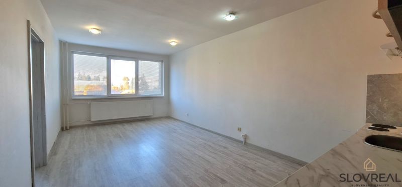 Helles Zimmer mit Holzboden in einer 2-Zimmer-Wohnung, großes Fenster.