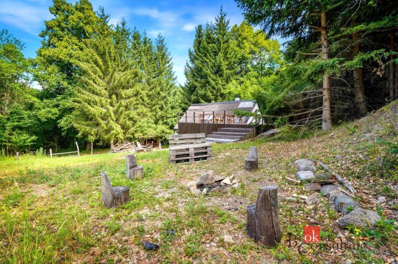 Eine Hütte in Píla, umgeben von Wald, mit einer Sitzecke und einer Feuerstelle im Garten.