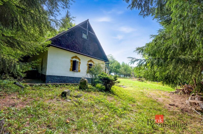 Eine Hütte in Píla, umgeben von Grün und Nadelbäumen, ideal zum Entspannen.