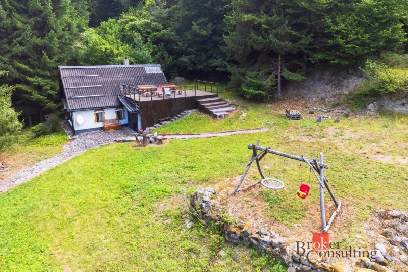 Eine Hütte bei der Sägemühle, umgeben von Wald, mit Schaukeln auf dem Rasen.