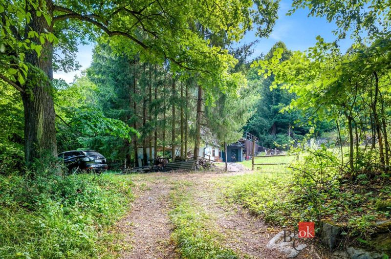 Eine Hütte in Píla, umgeben von Bäumen und grüner Landschaft, ein Auto am Waldrand geparkt.