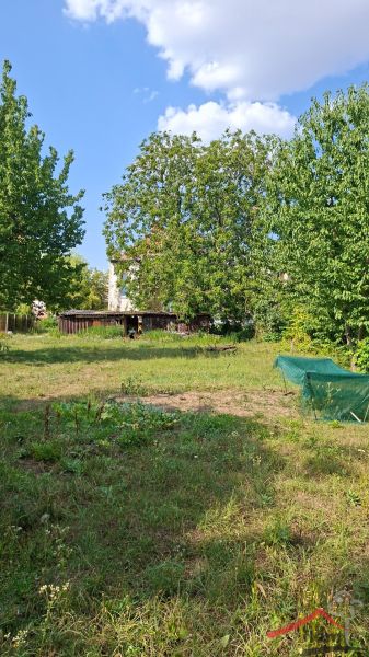 Der Garten beim Einfamilienhaus in der Levická Straße in Vráble, umgeben von Bäumen und Gras.