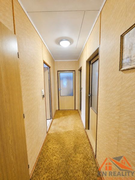 Der Flur in einem Einfamilienhaus mit einem beigen Teppich und Holztüren.