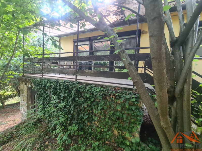Ein Einfamilienhaus in Svodín, umgeben von dichtem Grün, mit einer Terrasse, die von Kletterpflanzen bewachsen ist.