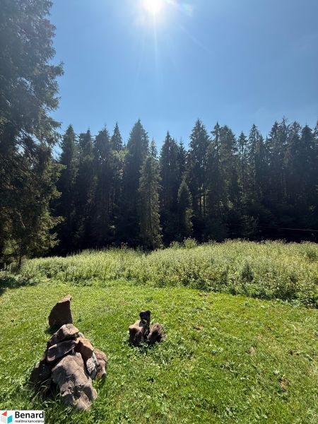 Sonnenbeschienene Erholungsgrundstücke in Litmanová, umgeben von Wald und Grün.