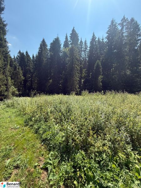 Erholungsgrundstücke in Litmanová, umgeben von grünen Wiesen und dichten Wäldern.