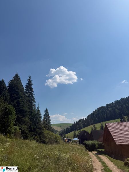Erholungsgrundstücke in Litmanová mit Wald, Weg und Holzhütten unter blauem Himmel.