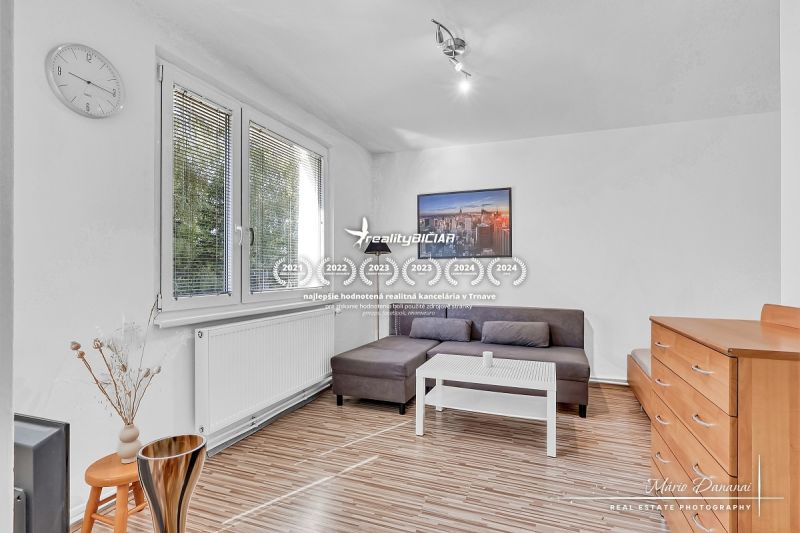 Wohnbereich einer Einzimmerwohnung mit Holzboden und Sofa.