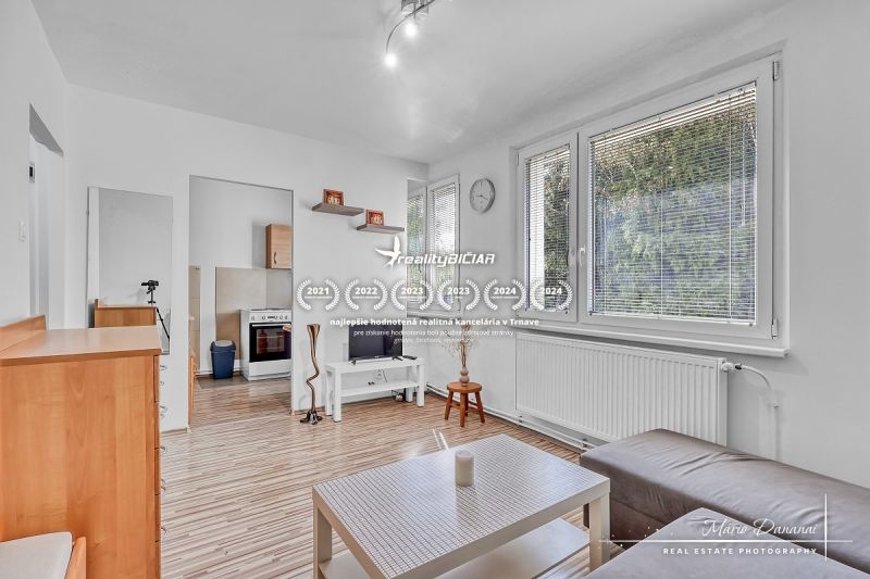 Wohnzimmer mit Holzboden und Möbeln in einer Einzimmerwohnung.