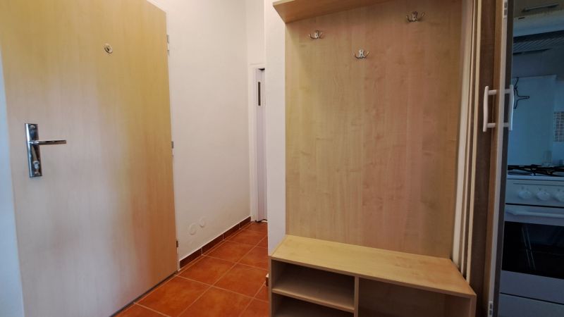 Eingangsbereich mit Schuhschrank und Garderobe in einer 2-Zimmer-Wohnung, Boden mit Holzdekor.