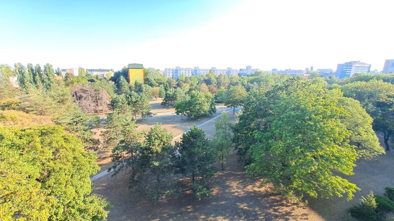 Grünflächen und Bäume im Park in Bratislava - Ružinov in der Nähe der Sputnikova-Straße.