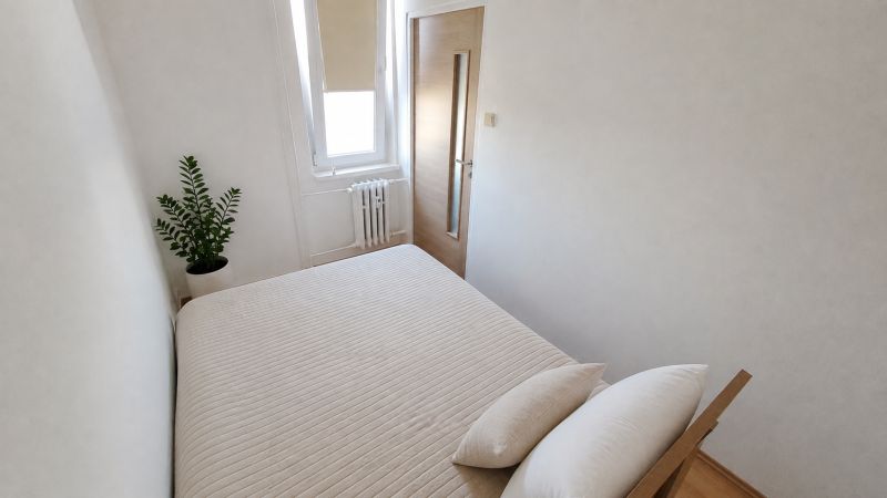 Schlafzimmer in einer 2-Zimmer-Wohnung mit Bett, Pflanze und Fenster.