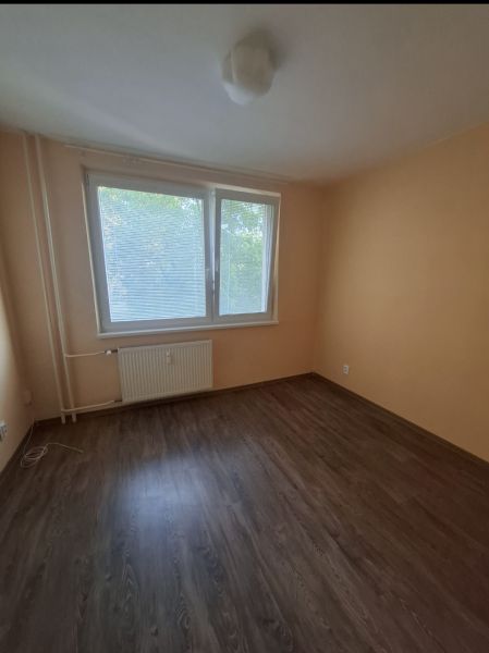 Ein Zimmer in einer 3-Zimmer-Wohnung mit einem Boden in Holzoptik und einem großen Fenster.
