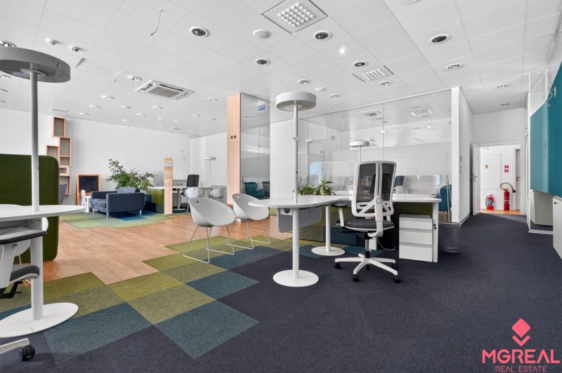 Gewerbeflächen mit Glaswänden und Boden in Holzoptik, bunte Teppiche.