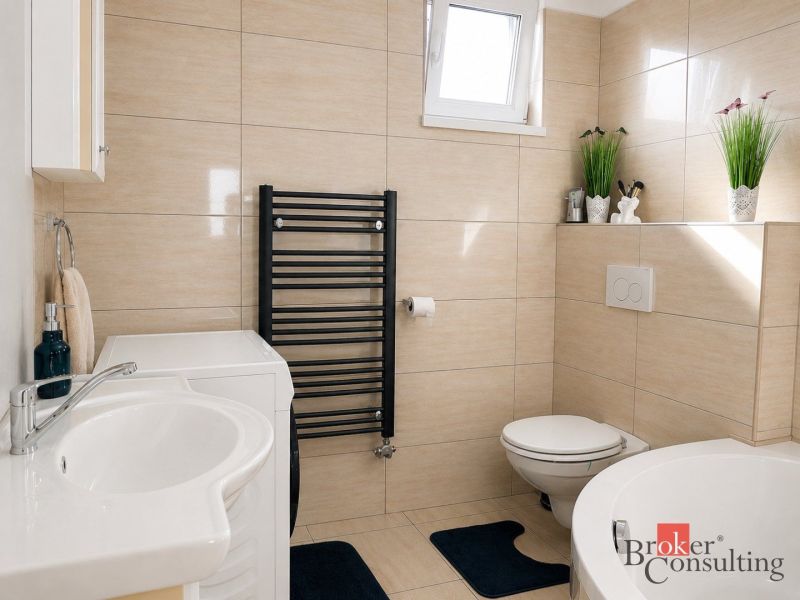 Ein Badezimmer in einem Einfamilienhaus mit Waschbecken, Waschmaschine, Dusche und Pflanzen auf dem Regal.