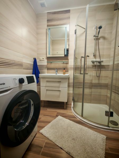Badezimmer in einer 2-Zimmer-Wohnung mit Holzboden, Waschmaschine und Duschkabine.