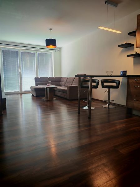Wohnzimmer einer Zweizimmerwohnung mit Holzboden und bequemer Couch.