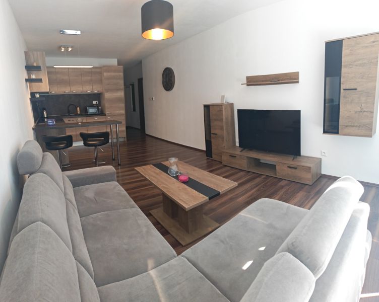 Wohnzimmer in einer 2-Zimmer-Wohnung mit Holzboden, Sofa und TV-Wand.