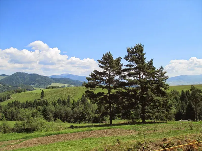 Schöne Landschaft von landwirtschaftlichen und forstwirtschaftlichen Flächen bei Valaská mit hügeliger Landschaft.