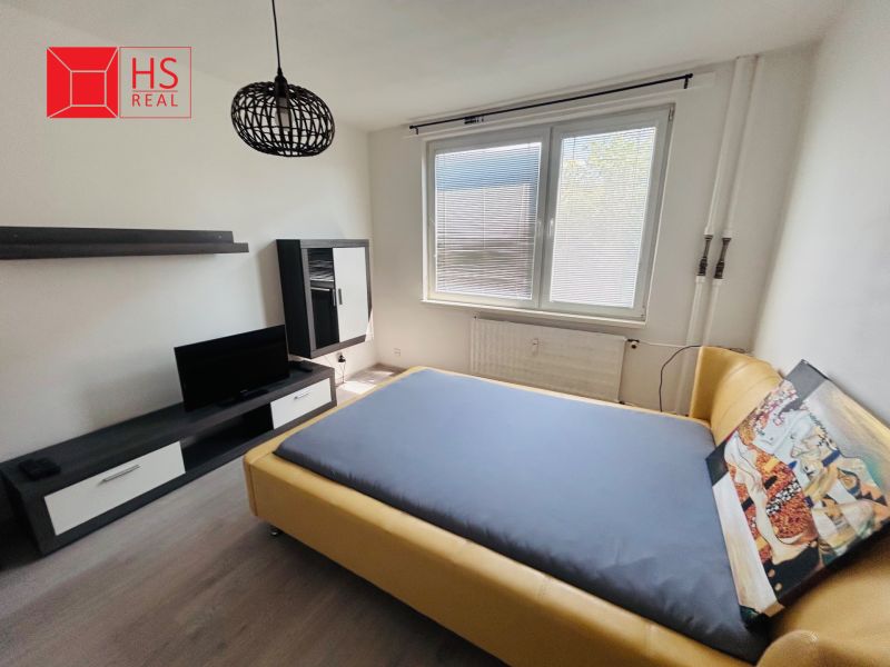 Helles Zimmer in einer Einzimmerwohnung mit Holzboden, Bett und Fernseher.