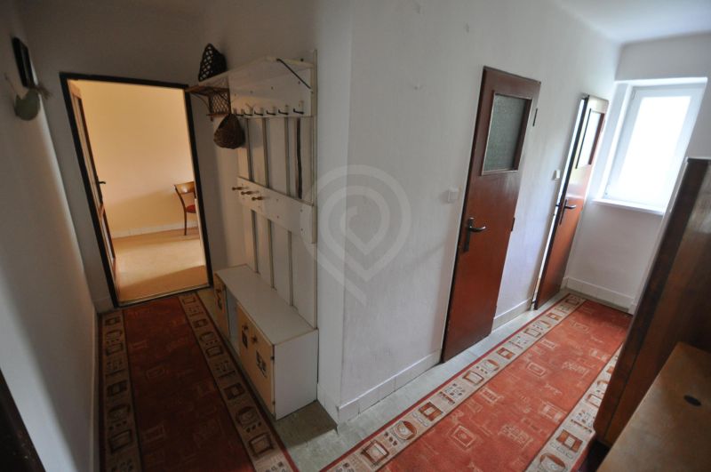 Ein schmaler Flur in einer 2-Zimmer-Wohnung, mit rotem Teppich und einer Garderobe an der Wand.