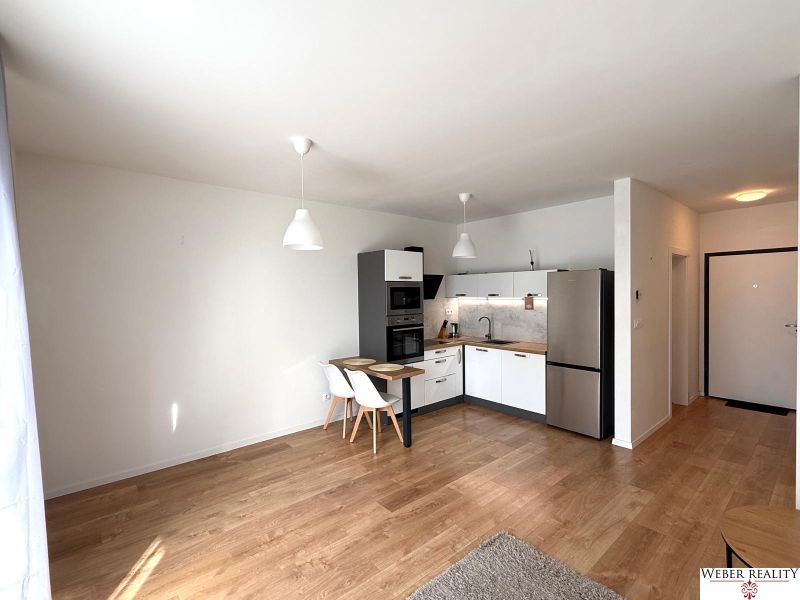 Küche in einer 2-Zimmer-Wohnung mit weißen Schränken und einem Boden in Holzoptik.
