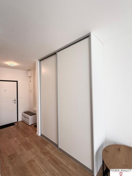Eingangsbereich einer Zweizimmerwohnung mit Holzboden und Einbauschrank.