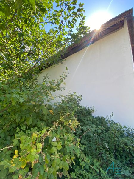 Ein Einfamilienhaus in Brestovec, umgeben von dichtem Grün und mit weißer Fassade.