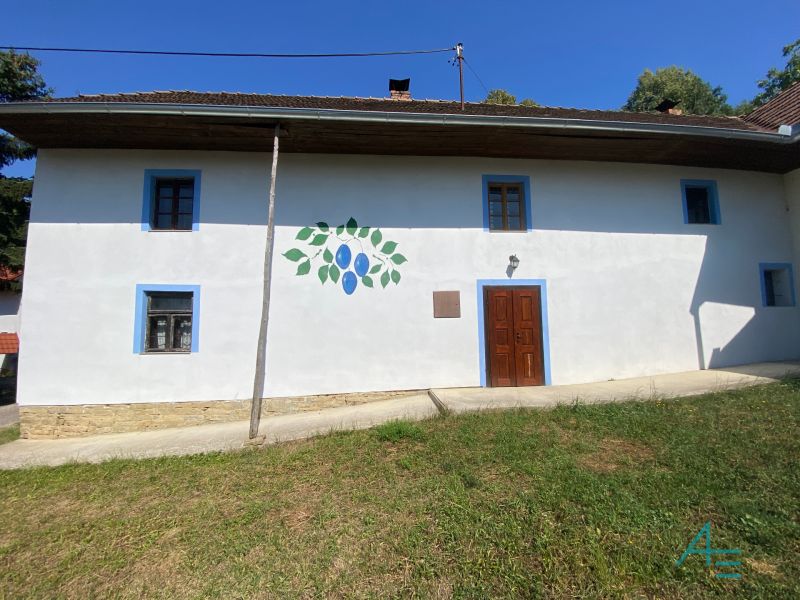 Ein Einfamilienhaus in der Straße Brestovec in Brestovec mit heller Fassade und blauen Fensterrahmen.