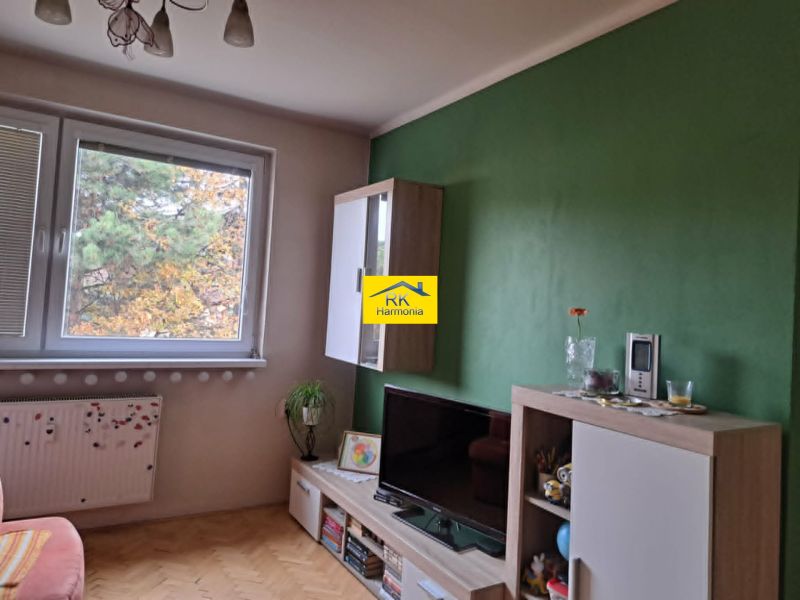 Wohnzimmer mit Holzdekor, Fernseher und grüner Wand in einer Zweizimmerwohnung.