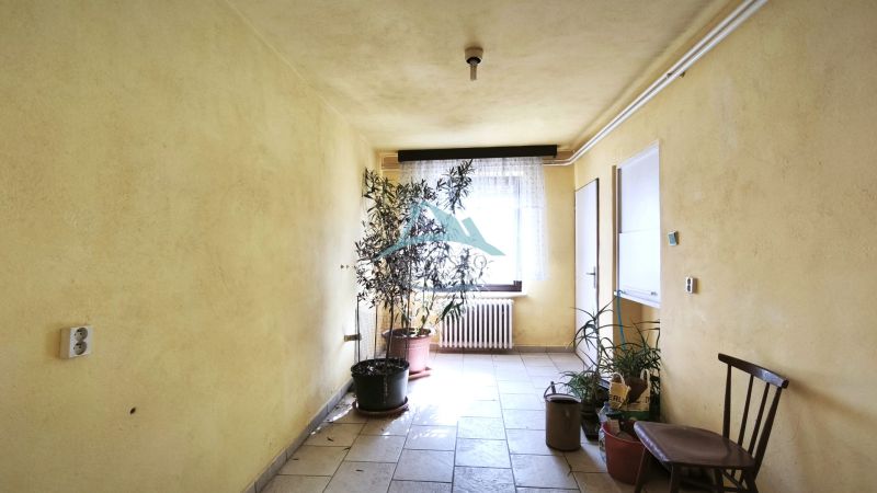 Innenraum eines Einfamilienhauses mit Zimmerpflanzen, einem Holzstuhl und Fliesenboden.