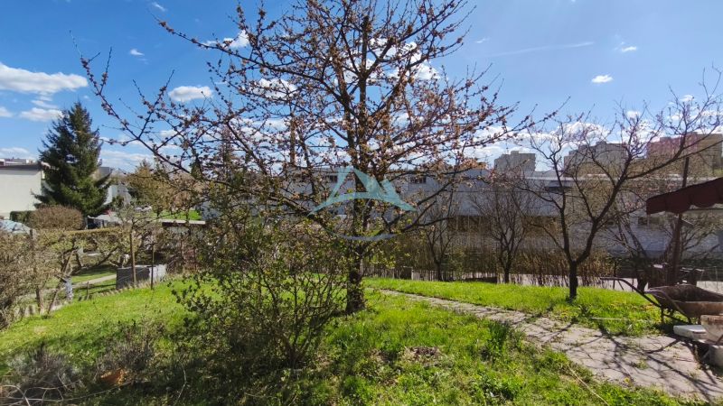 Ein Garten mit einem blühenden Baum bei einem Einfamilienhaus in der Ľ. Štúr-Straße in Veľký Krtíš.