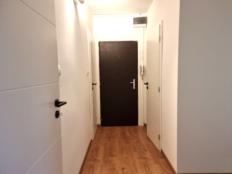Der Flur in einer 2-Zimmer-Wohnung mit einem Boden in Holzoptik und weißen Türen.