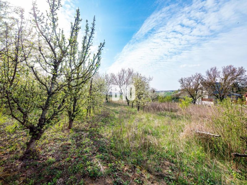 Grundstücke - Wohnen in Nitra mit blühenden Bäumen unter dem Frühlingshimmel.