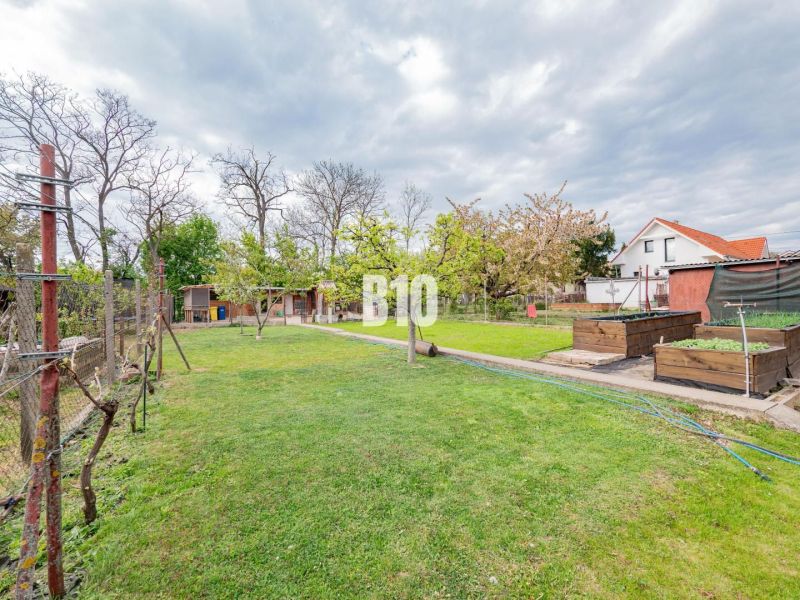Blick von einem Einfamilienhaus in Nitra mit Rasen und Gartenbeeten.
