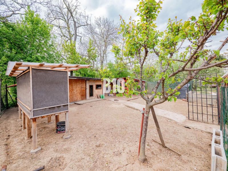 Ein Garten mit Holzbauten und Bäumen bei einem Einfamilienhaus in Nitra.